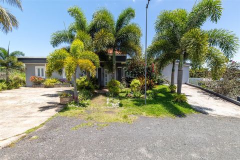 Hacienda El Palmar CALLE MARCOS LOPEZ 831 Lote 2 VEGA BAJA  00693
