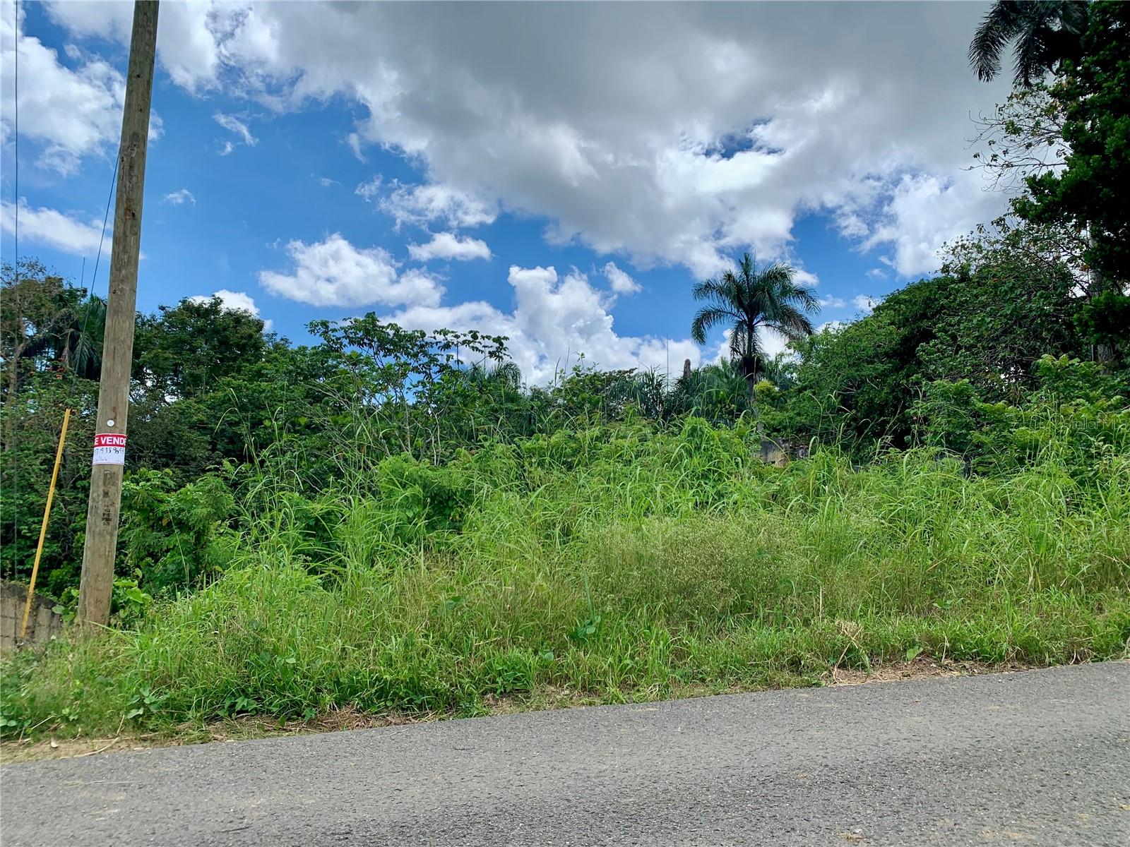 434 KM 2.4 INT. ROCHA WARD