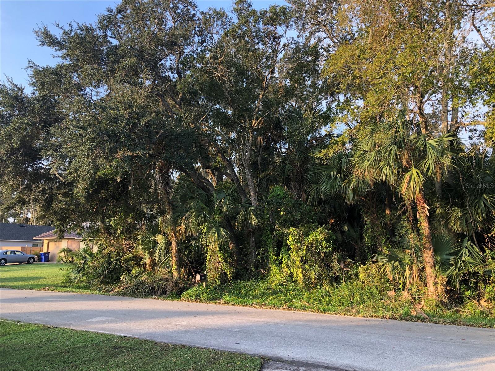 Buildable lot includes 4 parcels that are able to be split into 2 buildable lots at $80,000 each in Florida Shores. Currently 160 x 125. Located between 24th St and 26th St. This is the opportunity to build the home you've always envisioned on this expansive lot. With the possibility of splitting the lot, this prime piece of land offers flexibility to suit your needs. Whether you're looking to create a single dream residence or explore potential investments opportunities, the possibilities are endless. This lot is ideal for active families and outdoor enthusiasts. Edgewater is home to over 150 acres of city parks, providing endless recreational options for everyone. Enjoy walking and biking trails that wind through scenic landscapes, or take advantage of the nearby paddling trails for a day on the water. Fishing, boating, picnicking, basketball, and tennis are just a few of the activities that await you, making this location a haven for fitness and fun. The lot's fantastic location offers easy access to I-95 and SR 44, making commuting or exploring surrounding areas effortless. You're just minutes away from local dining, shopping and entertainment. Whether you're building a family home or designing a space tailored to your lifestyle, this lot offers the perfect foundation for making your vision a reality. All information recorded in the MLS is intended to be accurate but cannot be guaranteed.