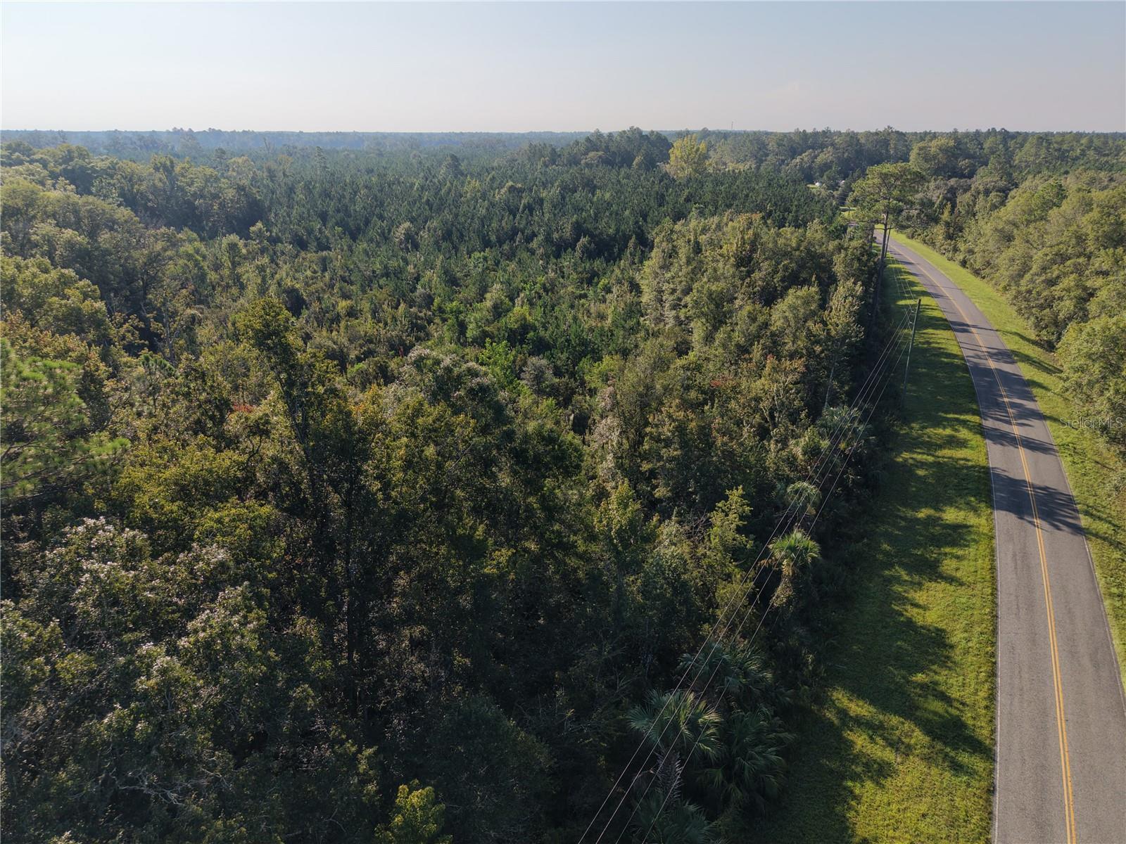 MIDDLE ROAD