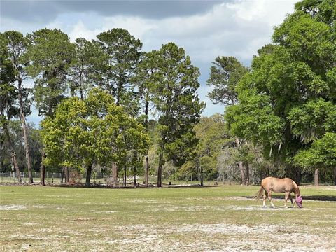 Tiny photo for Winterwillow Lane, Eustis, FL 32736 (MLS # G5110156)