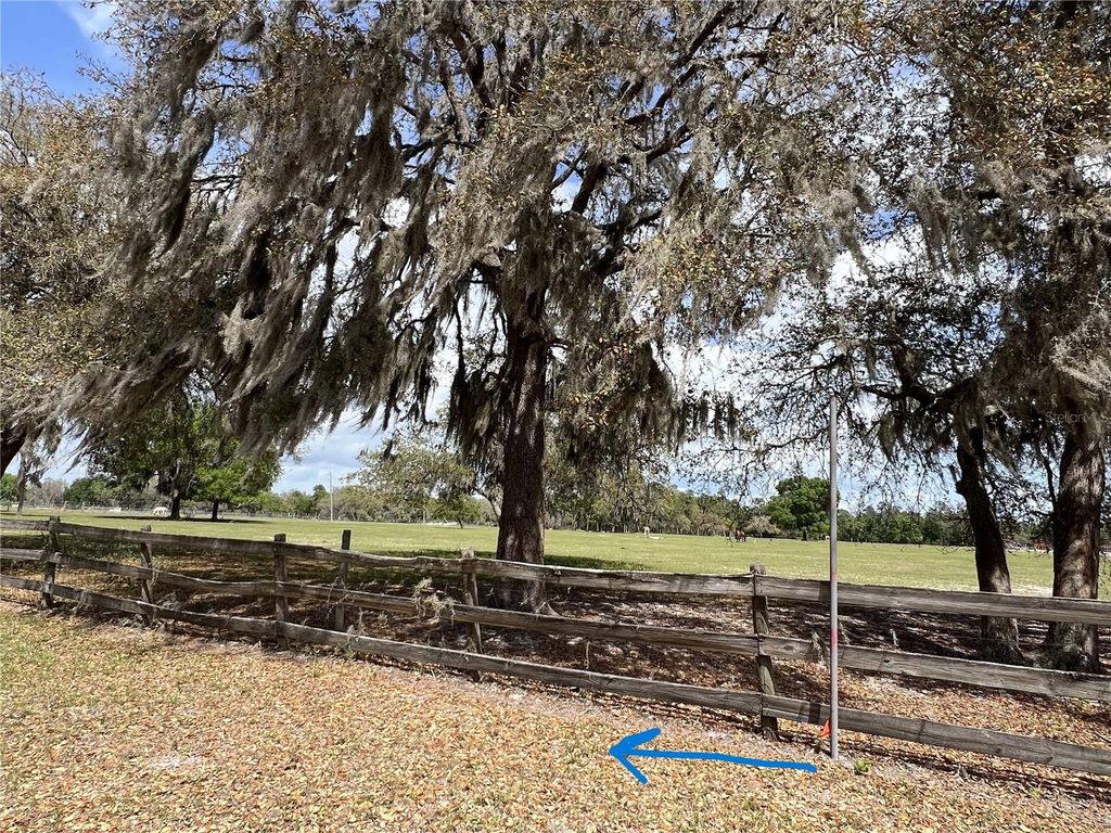 Photo of Winterwillow Lane, Eustis, FL 32736 (MLS # G5110156)