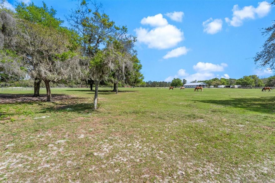 Beautiful, well-kept 10 ACRES of flat PASTURE, fenced on three sides and surrounded by quiet RURAL ESTATE HOMES. Ideal for HORSES, DOGS, and a self-sustaining LIFESTYLE. This peaceful setting offers the kind of privacy that melts away the stress of demanding careers. Ride with nearby equestrians, BUILD YOUR DREAM FARM or PRIVATE RETREAT, and enjoy wide-open skies, about 15 minutes from charming Mount Dora. Natural road surface and NO HOA! A pleasant commute to Orlando, Lake Mary, or Sanford makes this the PERFECT BALANCE of SECLUSION and CONVENIENCE. This is where space, serenity, and freedom come together—start living the life you’ve been working for- the FIRST STEP of your plan? CALL your REALTOR for an appointment and build your dream.