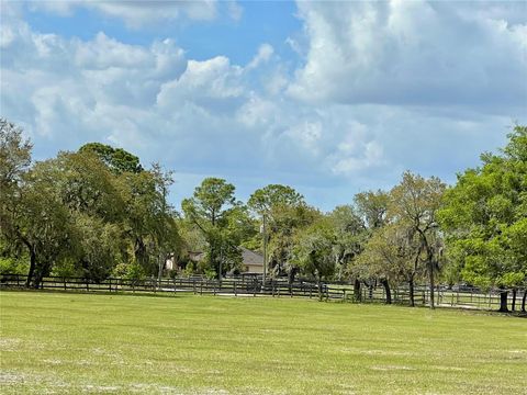 Tiny photo for Winterwillow Lane, Eustis, FL 32736 (MLS # G5110156)