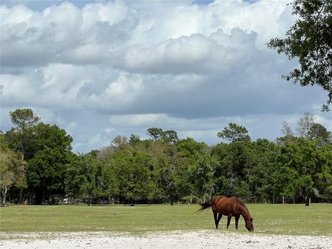 Tiny photo for Winterwillow Lane, Eustis, FL 32736 (MLS # G5110156)