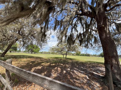 Tiny photo for Winterwillow Lane, Eustis, FL 32736 (MLS # G5110156)