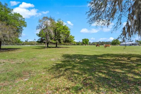 Tiny photo for Winterwillow Lane, Eustis, FL 32736 (MLS # G5110156)