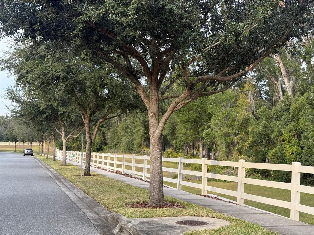 Photo of 1142 E 10th Street, Apopka, FL 32703 (MLS # O6368860)