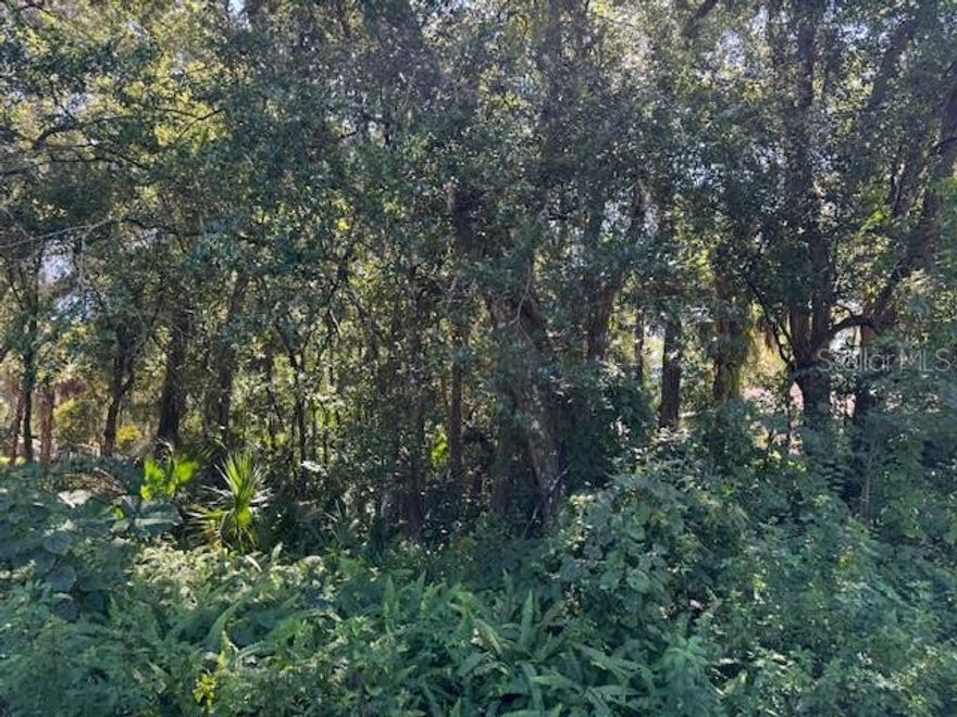 Beautifully wooded lot in a desirable area of Orange City surrounded by well-maintained homes. This spacious parcel measures approximately 53 feet wide by 296 feet deep, offering plenty of room for your new home, outdoor living space, and privacy. Enjoy the natural setting and peaceful atmosphere while still being conveniently close to shopping, schools, restaurants, and major highways for an easy commute. No HOA and located in an established neighborhood with a mix of custom homes. Don’t miss this opportunity to build your dream home in one of Orange City’s most attractive areas!