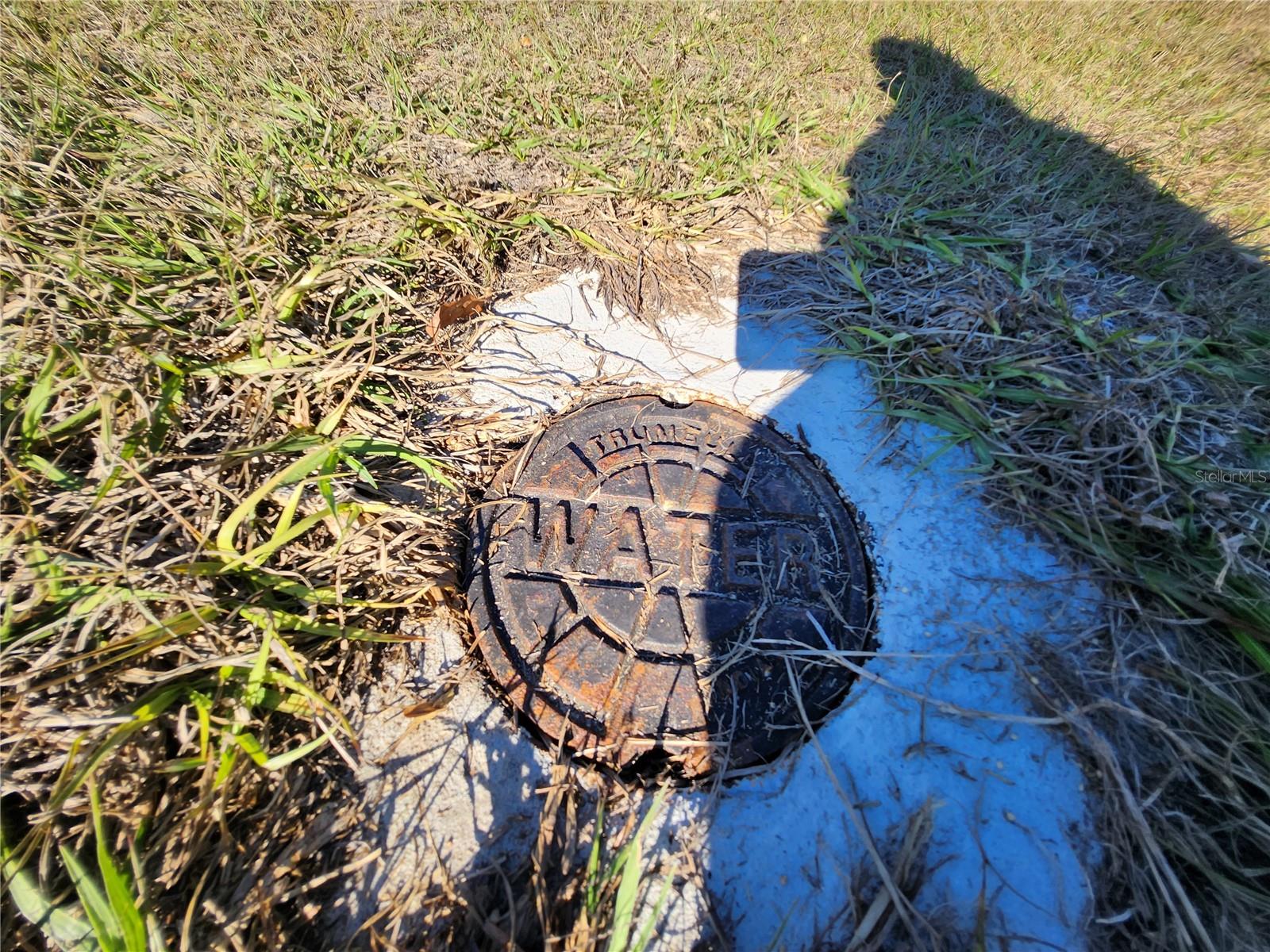 SILVER SPGS SHORES UN #8 - Land