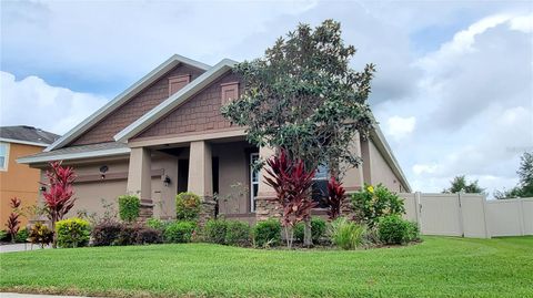 A home in LUTZ