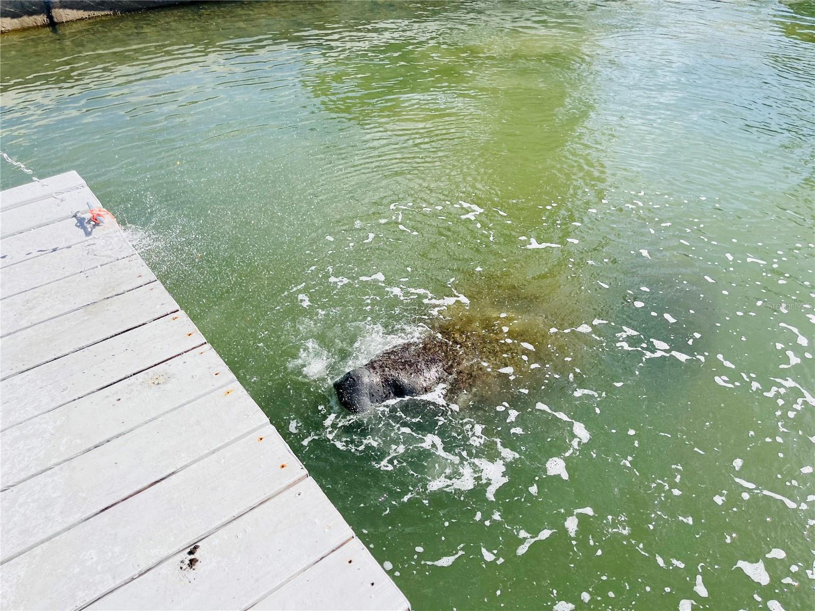 INDIAN BEACH RE-REVISED 12TH ADD - Residential