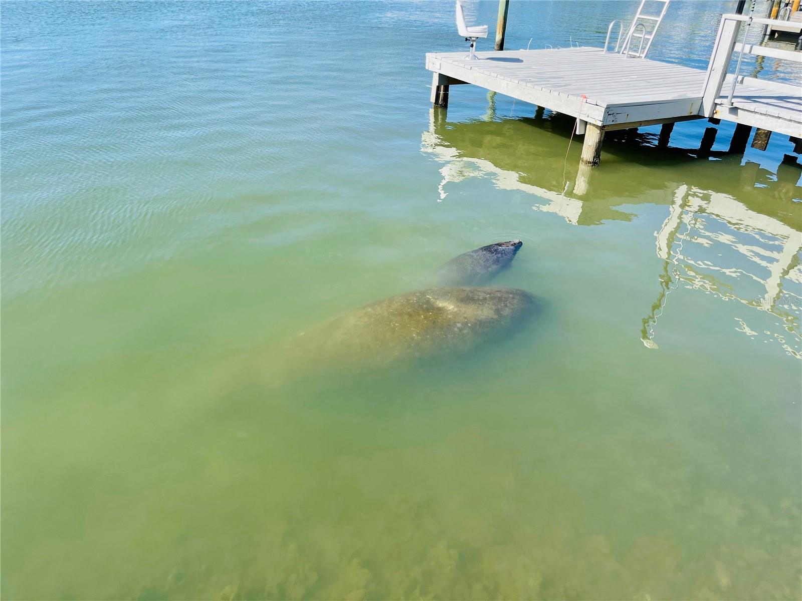 INDIAN BEACH RE-REVISED 12TH ADD - Residential