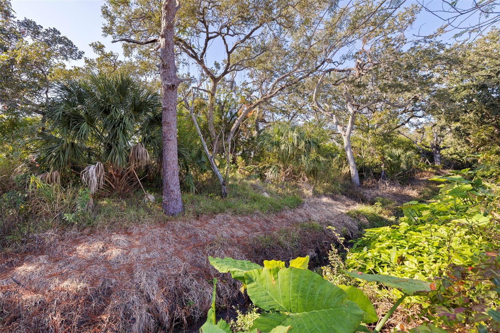 HIGHPOINT ESTATES - Residential