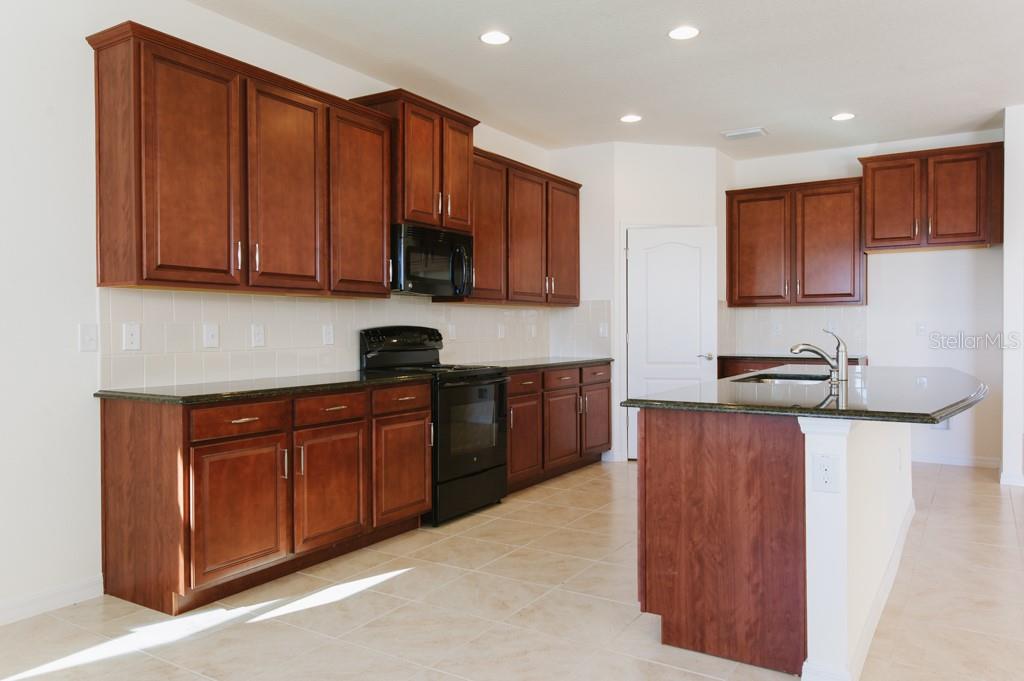 15543 TRINITY FALL WAY