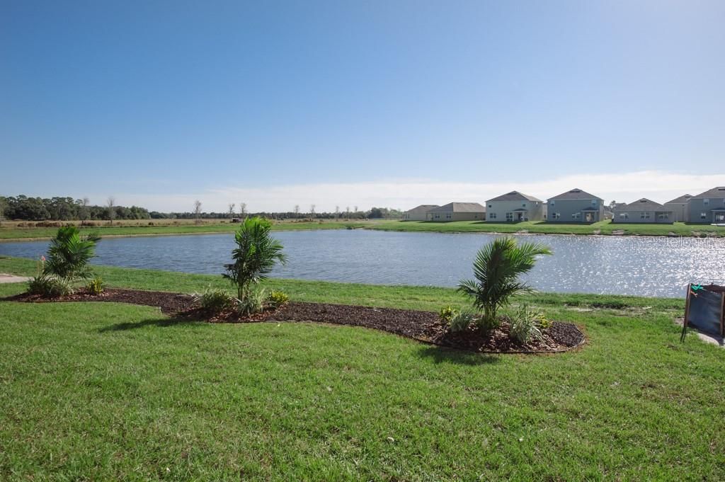 Photo of 15543 Trinity Fall Way, Bradenton, FL 34212 (MLS # A4682126)