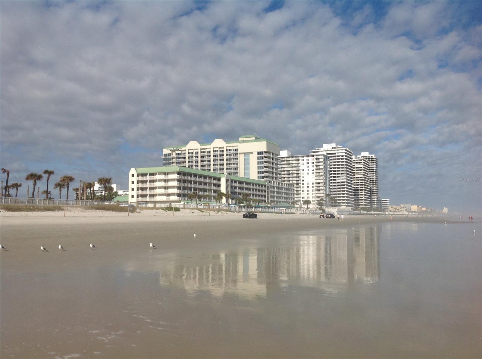 FABULOUS NE VIEWS FROM THIS TOP 12TH FLOOR STUDIO WITH 2 QUEEN BEDS NEWER CARPET , A/C AND FULL SIZED KITCHEN WITH FULL FRIDGE, MICROWAVE AND 2 TOP BURNER. ENJOY RESORT STYLE LIVING AT ITS FINEST ON BEAUTIFUL DAYTONA BEACH. 2 OUTDOOR POOLS, 1 KIDDIE POOL WITH MUSHROOM WATERFALL, OUTSIDE TIKI BAR AND FIRE PIT.. INSIDE HEATED POOL WITH 2 JACUZZIS, SAUNA, FULL NAUTILUS GYM AND RESTAURANT. BEAUTIFUL RIVER AND OCEAN VIEWS WHILE BEING A GREAT RENTAL INVESTMENT OPPORTUNITY. ;Water: City