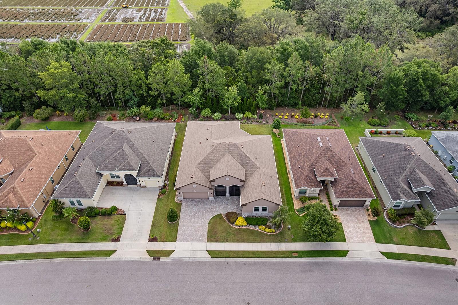 LAKES OF MOUNT DORA - Residential
