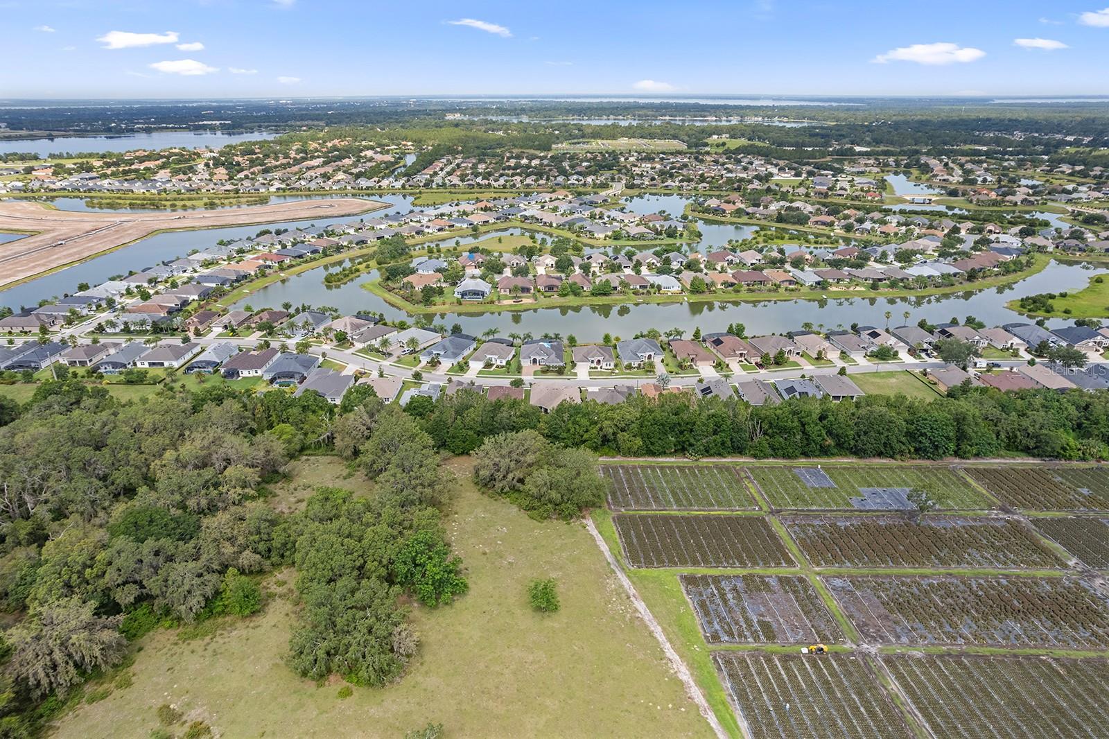 LAKES OF MOUNT DORA - Residential