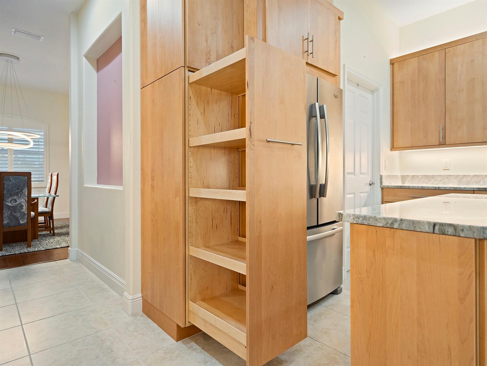 LAKES OF MOUNT DORA - Residential