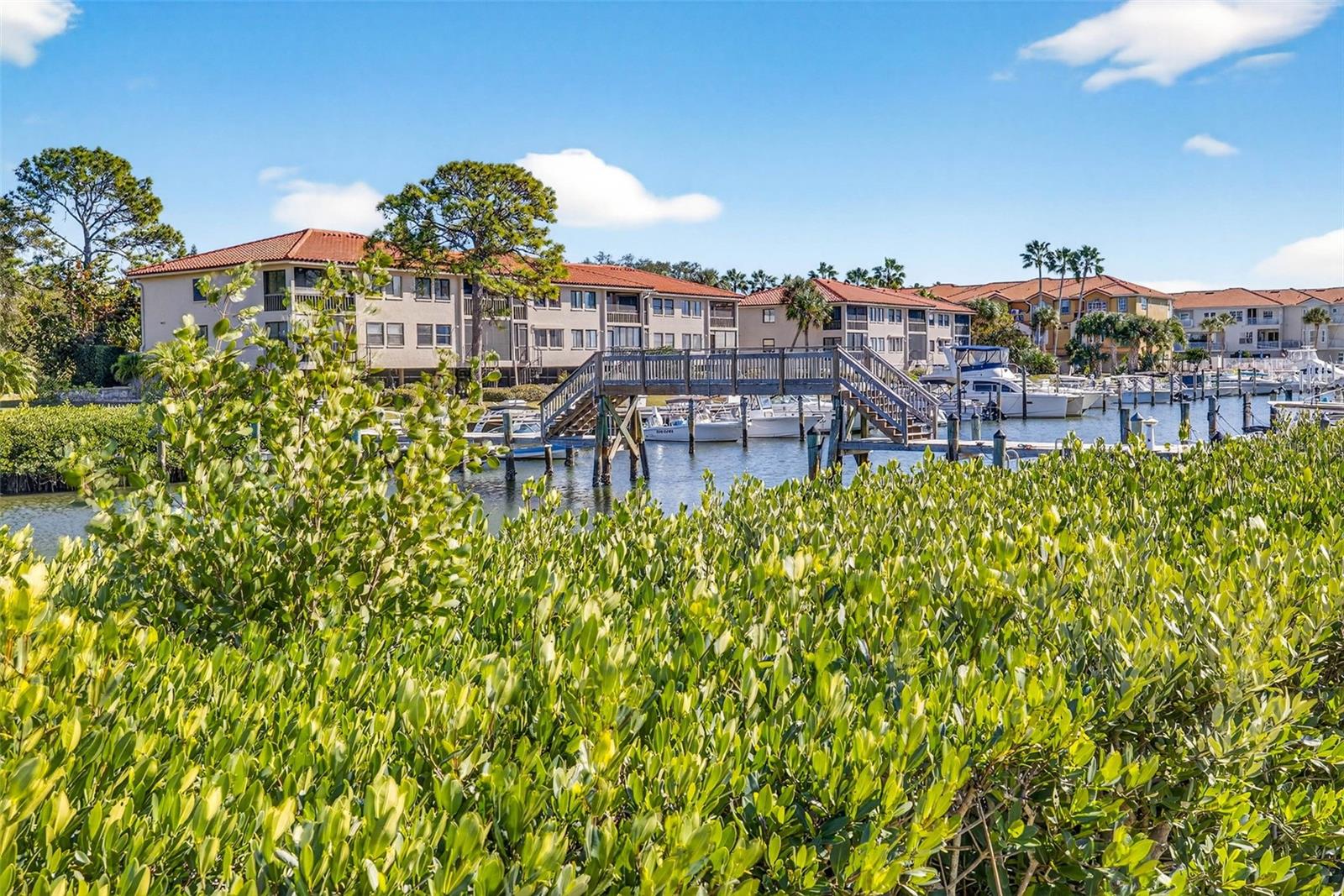 TARPON COVE CONDO - Residential