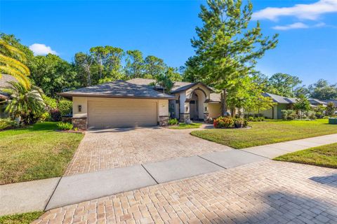 A home in TARPON SPRINGS