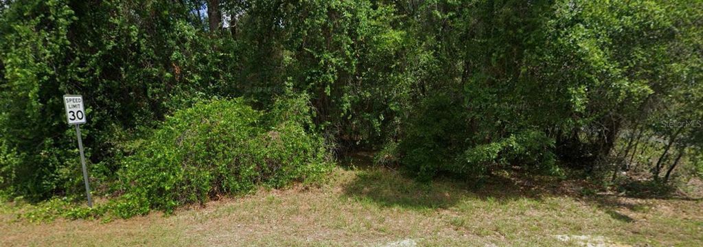 Photo of 2895 E Marcia Street, Inverness, FL 34453 (MLS # O6363819)