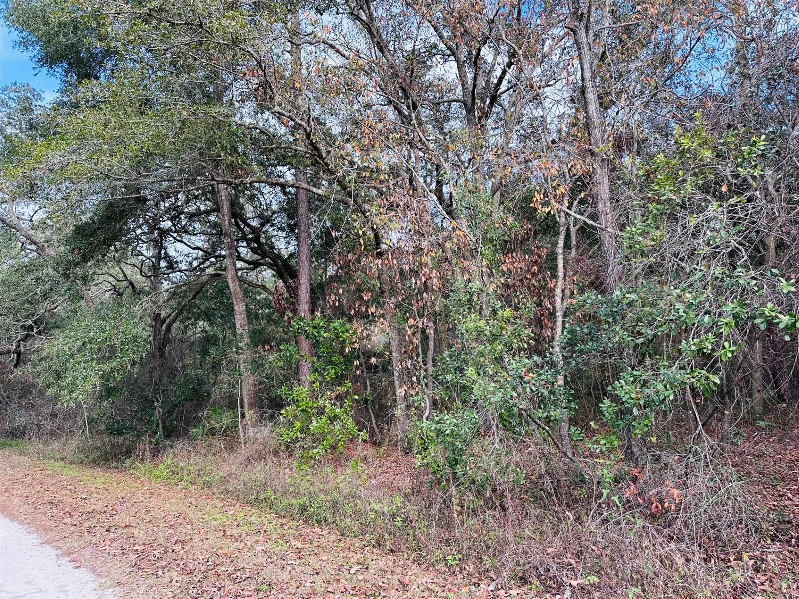 KIK A HA WOODLANDS - Land