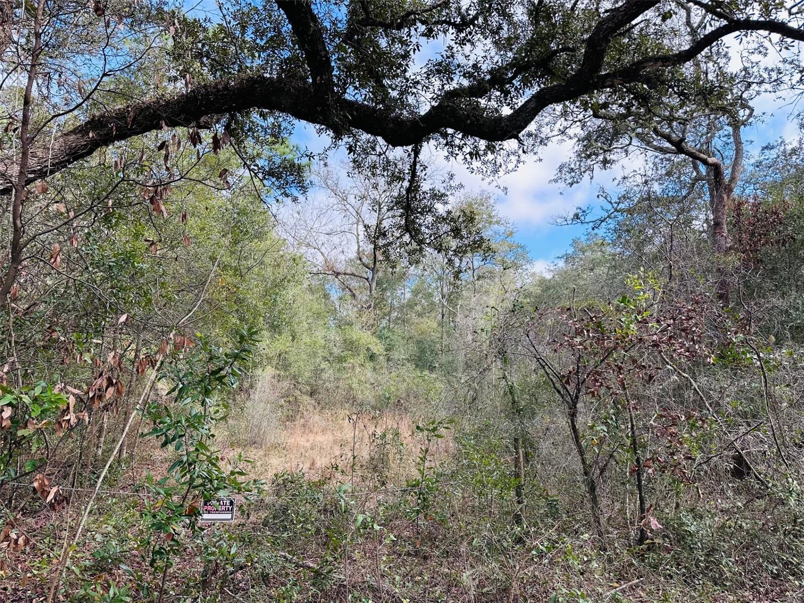 KIK A HA WOODLANDS - Land