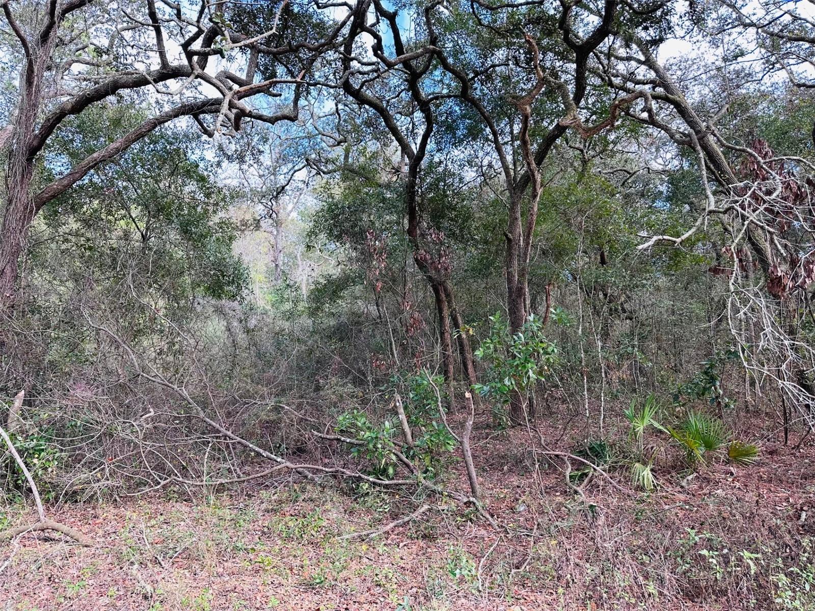 KIK A HA WOODLANDS - Land