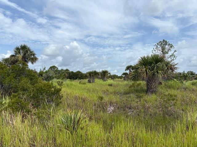 Investment opportunity for future use. here are no utilities presently in the area -- large electric lines are not far away. It does not appear that the lot is currently buildable at this time. Recorded plat with roads but no infrastructure.