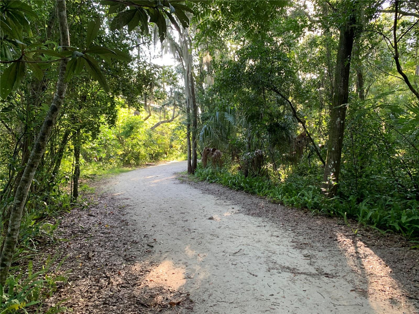 DOMMERICH ESTATES 1ST ADD - Residential