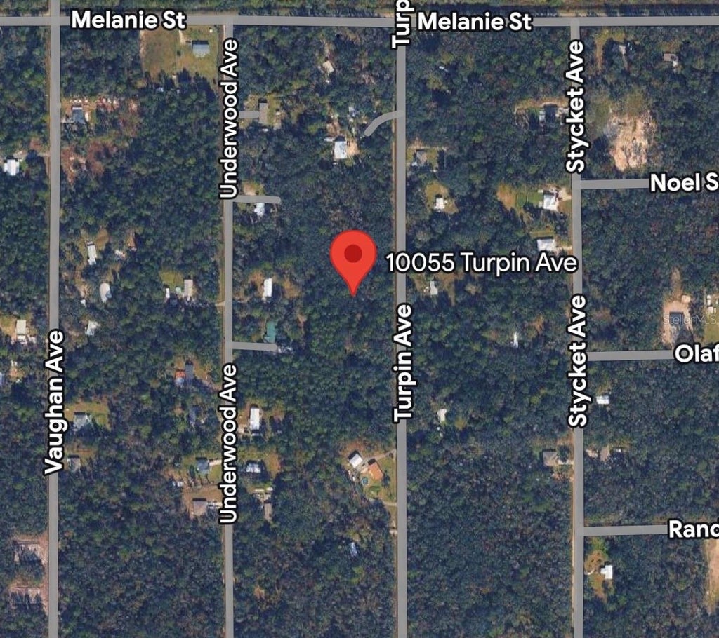 Photo of 10055 Turpin Avenue, Hastings, FL 32145 (MLS # A4701385)
