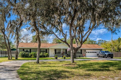 A home in RIVERVIEW