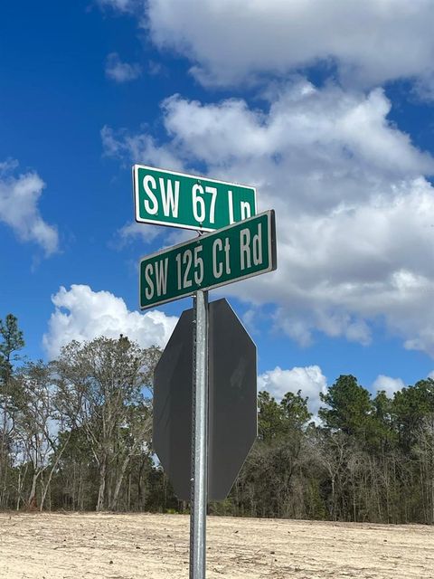 Tiny photo for Ocala, FL 34481 (MLS # OM720009)