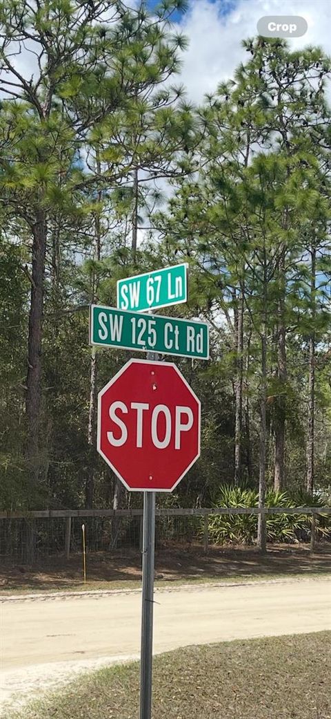 Tiny photo for Ocala, FL 34481 (MLS # OM720009)