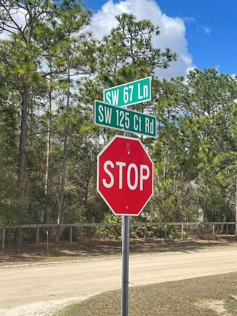 Tiny photo for Ocala, FL 34481 (MLS # OM720009)