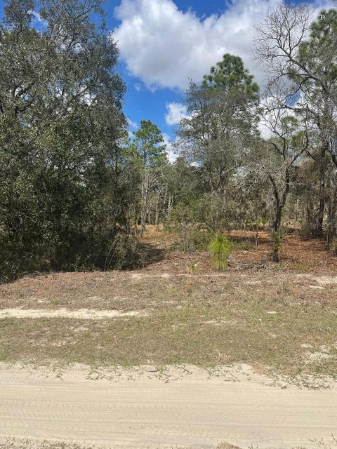Tiny photo for Ocala, FL 34481 (MLS # OM720009)