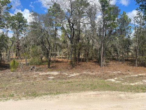 Tiny photo for Ocala, FL 34481 (MLS # OM720009)