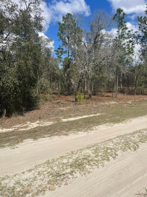 Tiny photo for Ocala, FL 34481 (MLS # OM720009)