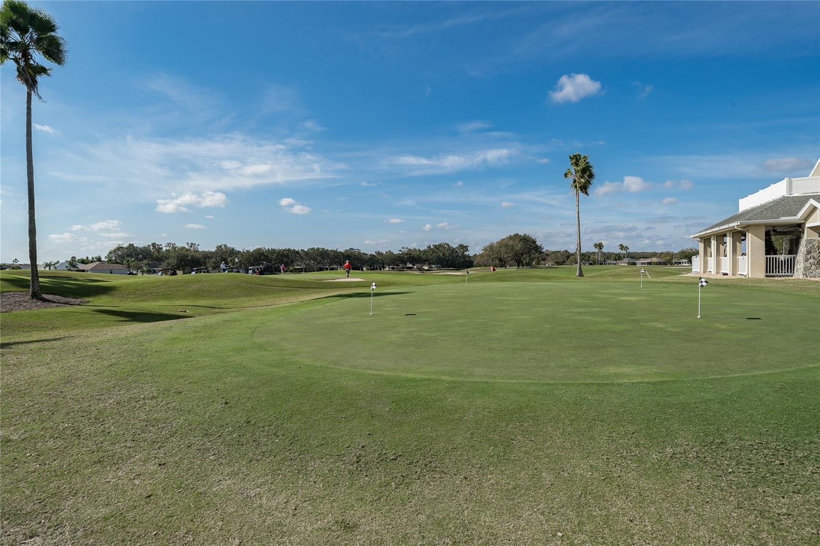 TAMPA BAY GOLF AND TENNIS CLUB - Residential