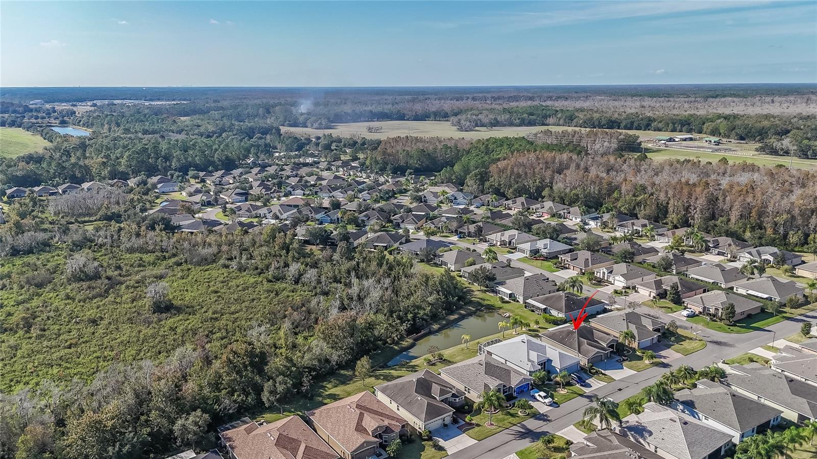 TAMPA BAY GOLF AND TENNIS CLUB - Residential