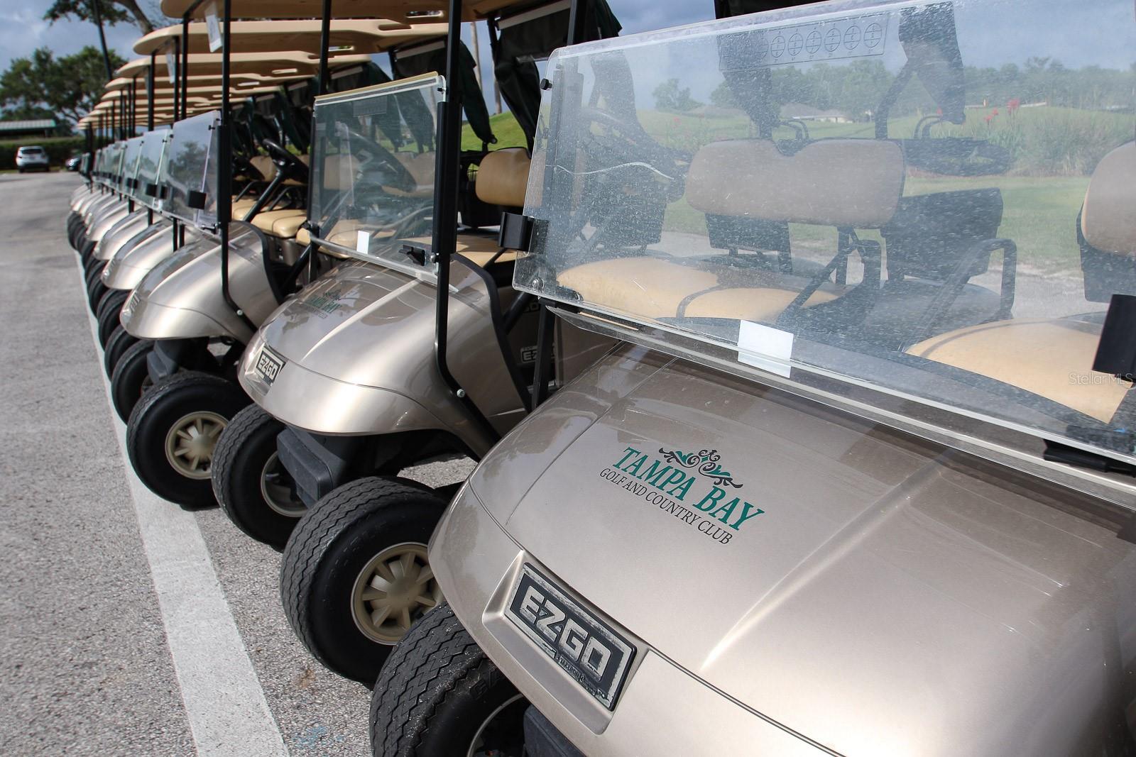 TAMPA BAY GOLF AND TENNIS CLUB - Residential