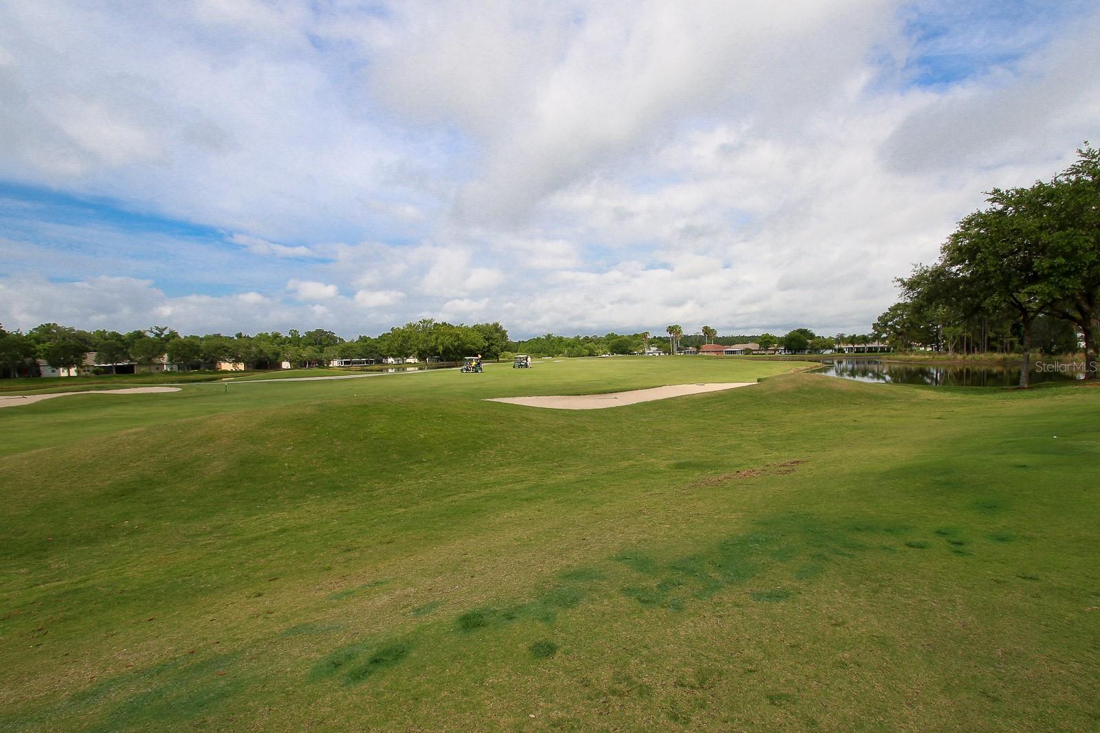 TAMPA BAY GOLF AND TENNIS CLUB - Residential