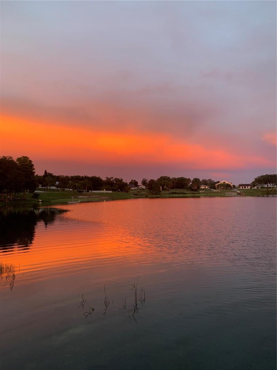 MASSICOTTE - Residential