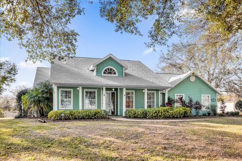 A home in MOUNT DORA