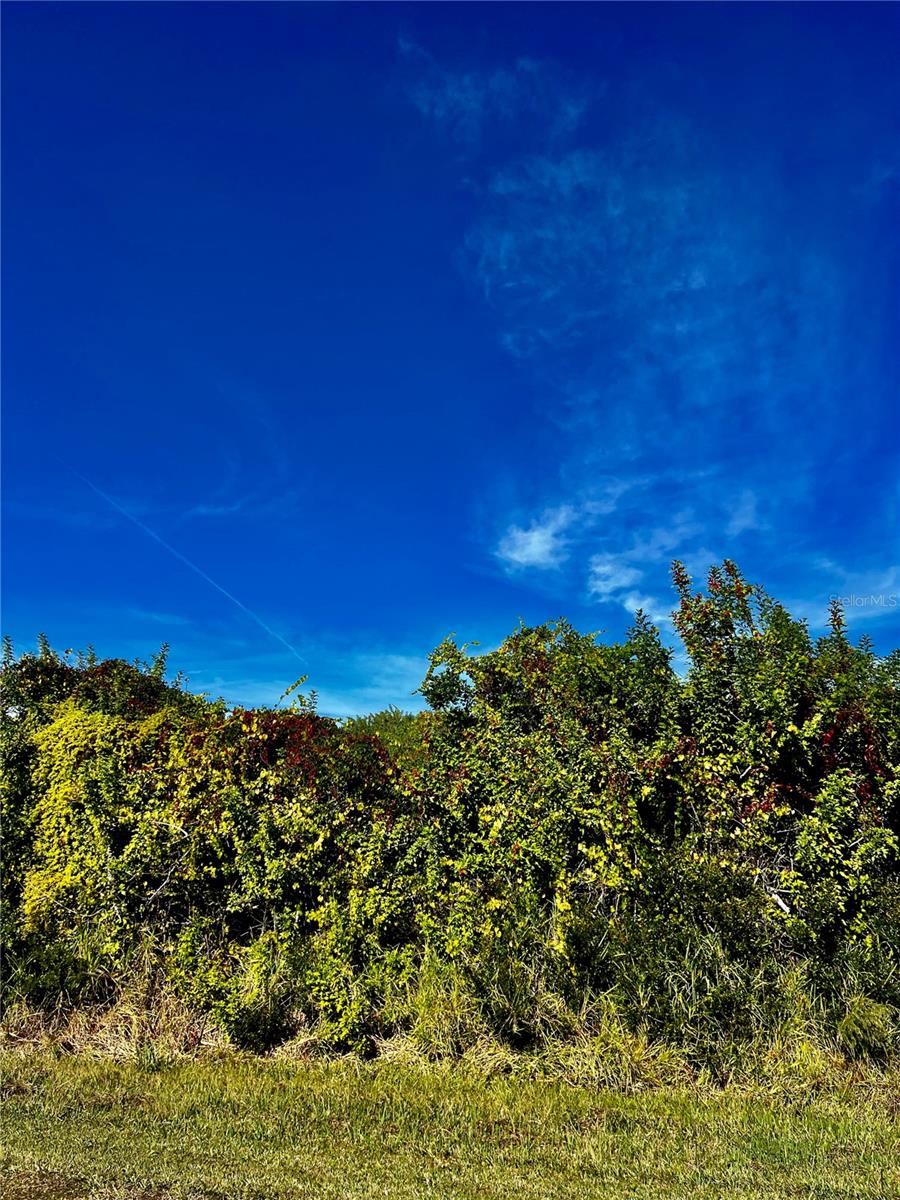 10245 WINSTEAD AVENUE