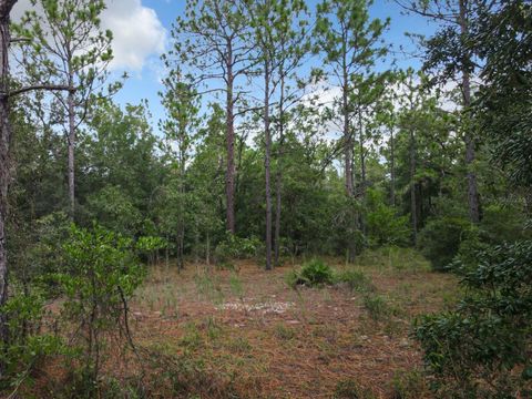 Tiny photo for 100th St, Ocala, FL 34481 (MLS # S5125021)