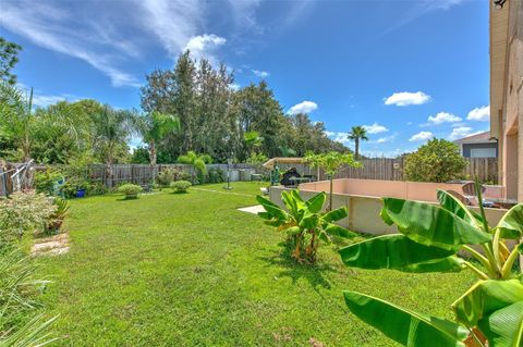 A home in WESLEY CHAPEL