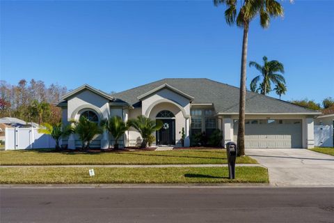 A home in TAMPA